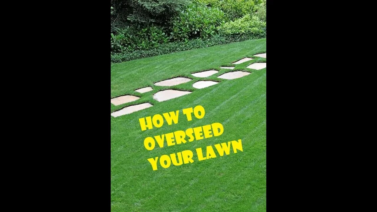 How to overseed a lawn