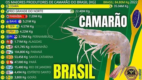 Os Maiores Produtores de Camarão do Brasil