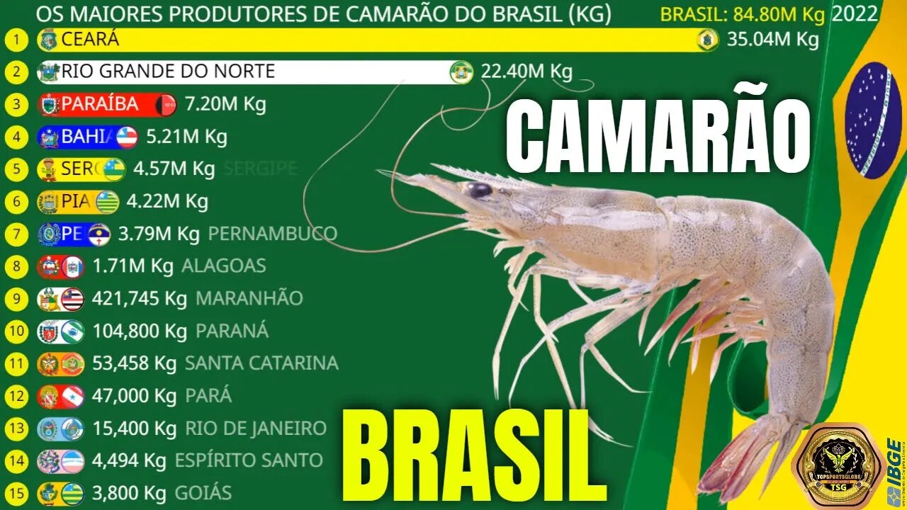 Os Maiores Produtores de Camarão do Brasil