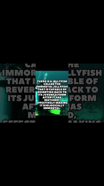 Incredible Random Facts That Will Expand Your Mind! [2023] #shorts #facts #viralshorts #fyp #life