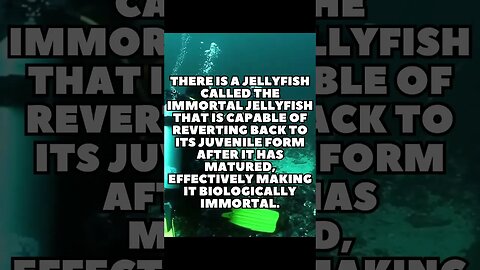 Incredible Random Facts That Will Expand Your Mind! [2023] #shorts #facts #viralshorts #fyp #life