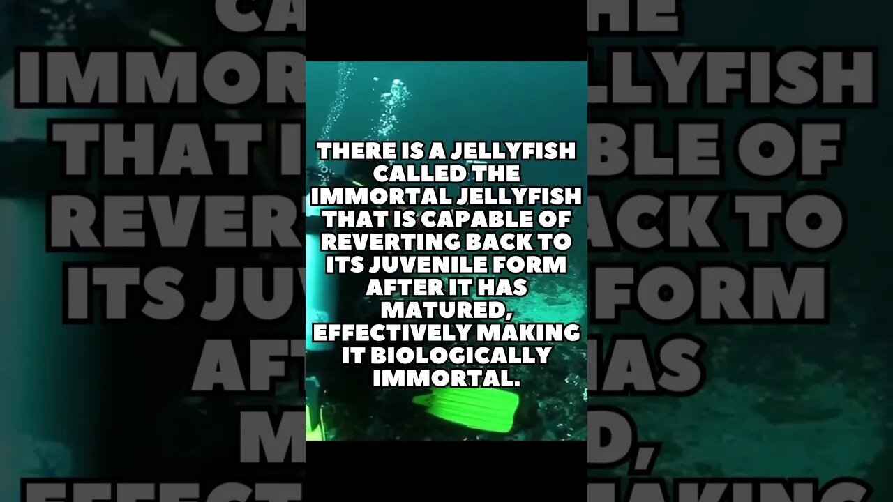 Incredible Random Facts That Will Expand Your Mind! [2023] #shorts #facts #viralshorts #fyp #life