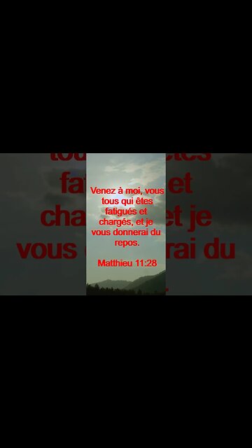 Verset Du Jour | Lecture Inspirante Pour Commencer La Journée. | 24