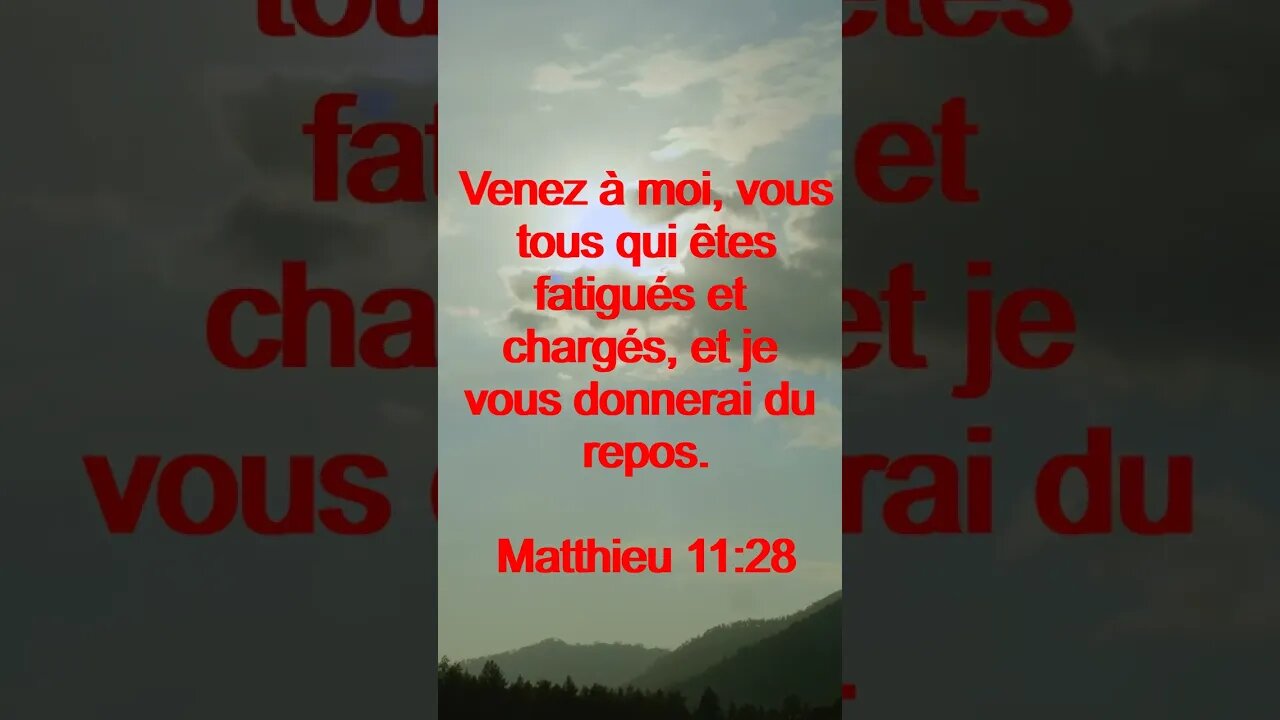 Verset Du Jour | Lecture Inspirante Pour Commencer La Journée. | 24