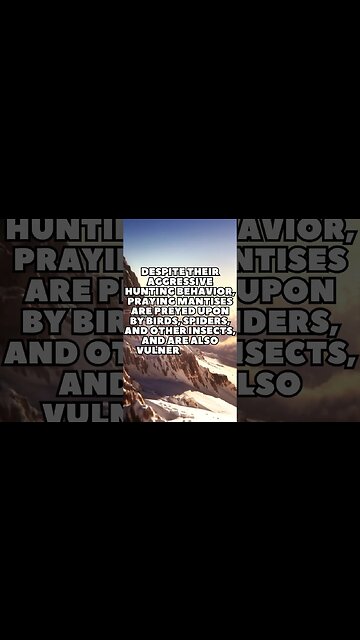 Incredible Random Facts That Will Expand Your Mind! [2023] #shorts #facts #viralshorts #fyp #life