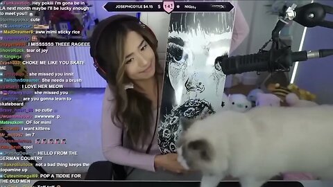 The exploitation of pokimane part 7