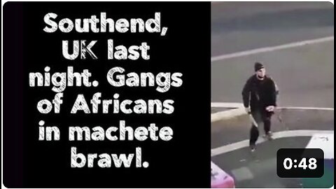 Southend, UK last night. Gangs of Africans in machete brawl.