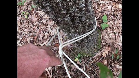 using primitive leverage to move logs, on the offgrid homestead