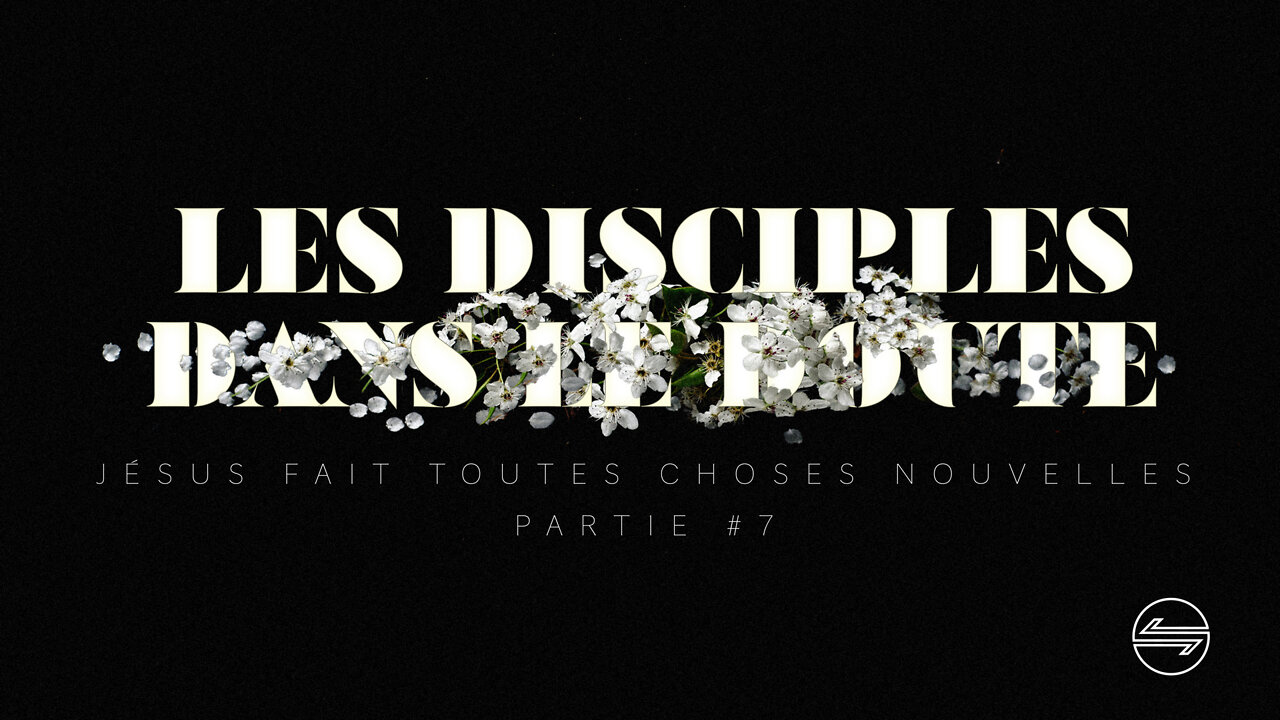 Les disciples dans le doute