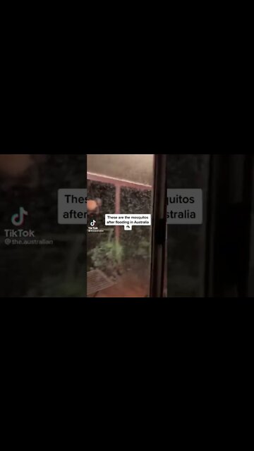 Come to Australia they said. It will be fun they said.