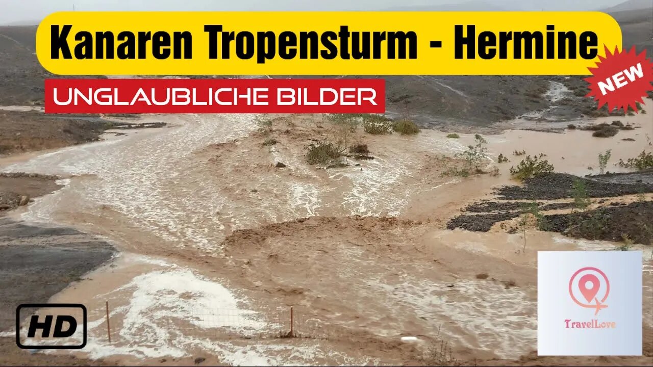 Tropensturm auf den Kanaren - Hochwasser & Zerstörung | Twitter Videos