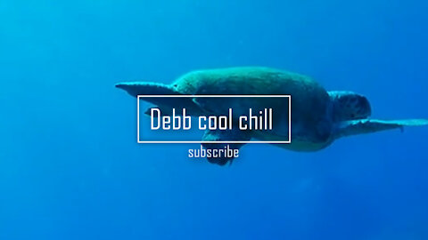 chill music John Debb ver40