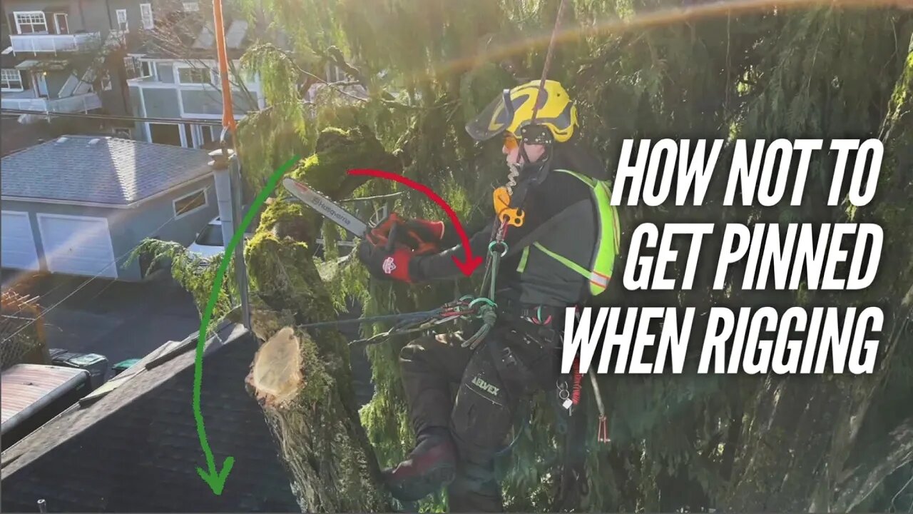 Avoid getting pinned by a branch or log - Rigging techniques for Arborists