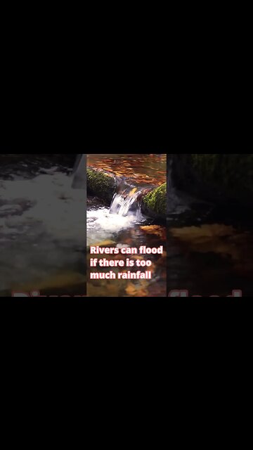 River Sounds And River Facts #Shorts 🏞