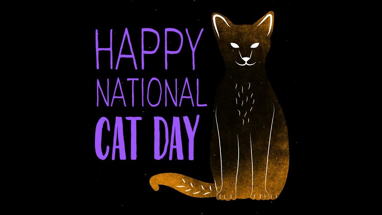 National cat day [GMG Originals]