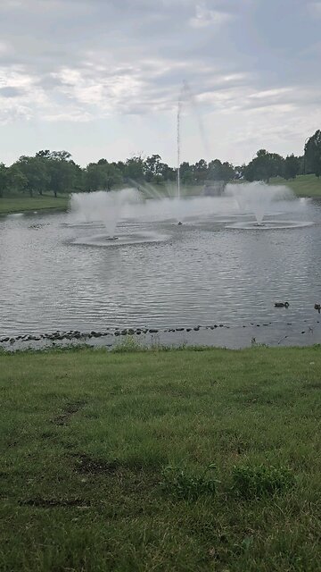 My Peaceful Place - Conspiracy Theories