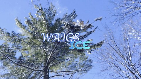 WAIGS Ice