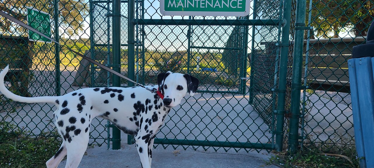 Luna Visits South Beach Dog Park Melbourne Beach FL