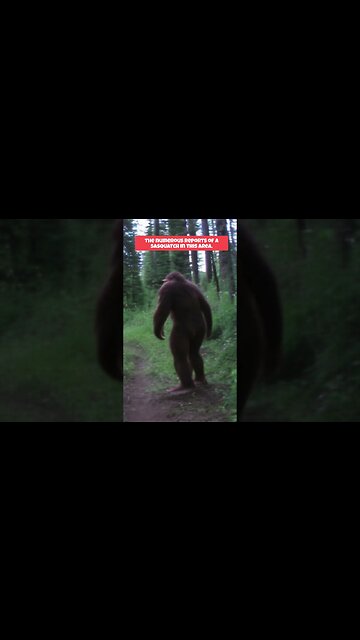 Sasquatch - Most Convincing Photo #shorts