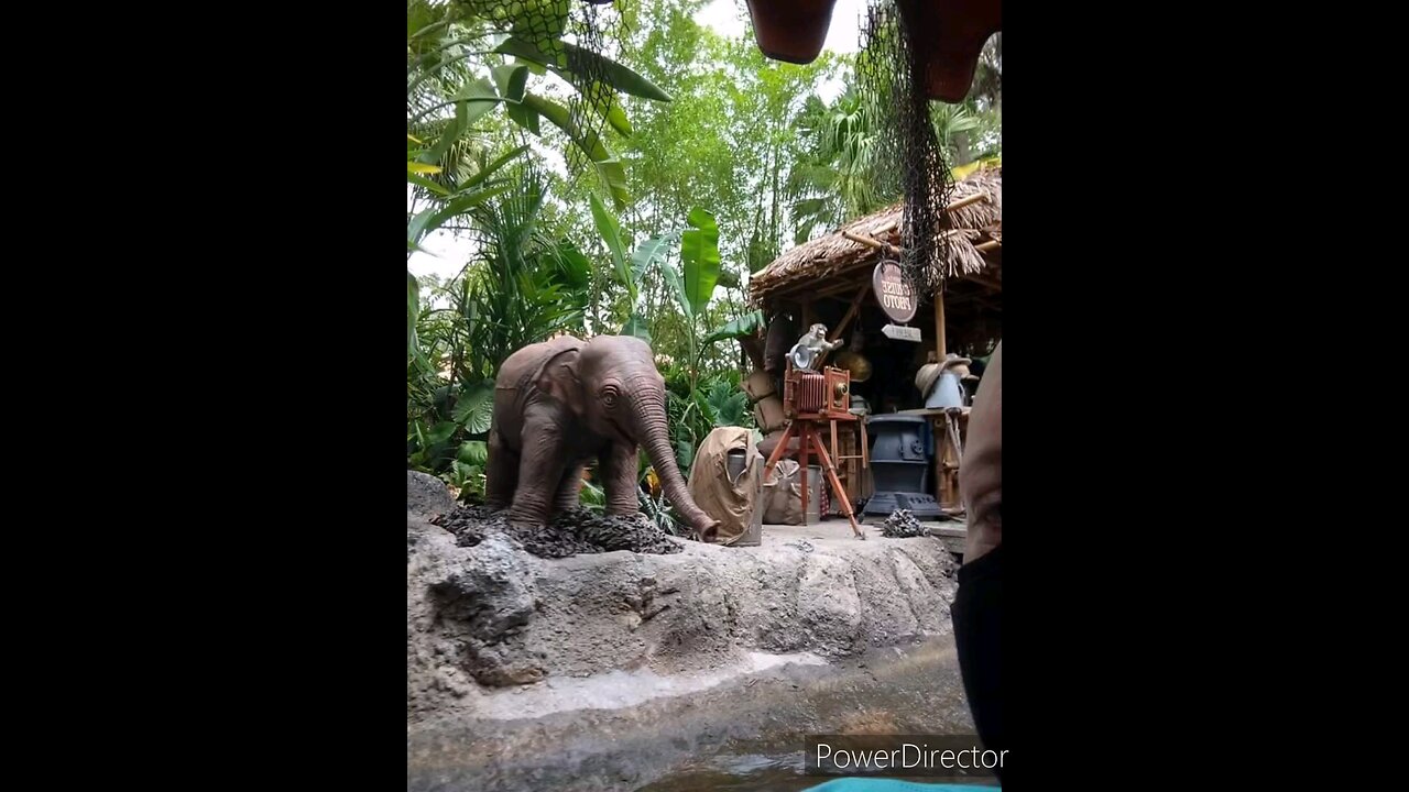 Disney world jungle world Cruise (2021 ) vacation