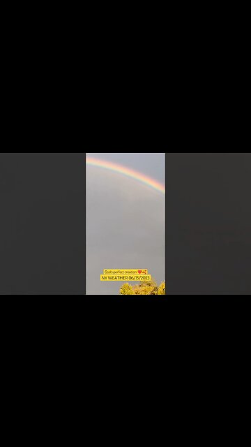 NY WEATHER 06/15/2023