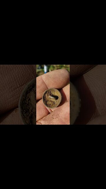 Buttino #metaldetecting #treasurehunting #trending #coin #button #hunt #trump #music #shorts