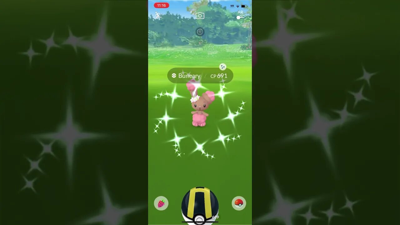Shiny Compilation