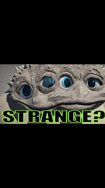 Animals are Wacky and FUNNY. 😃 #funnyfails