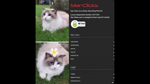 Join StarStar-Clicks