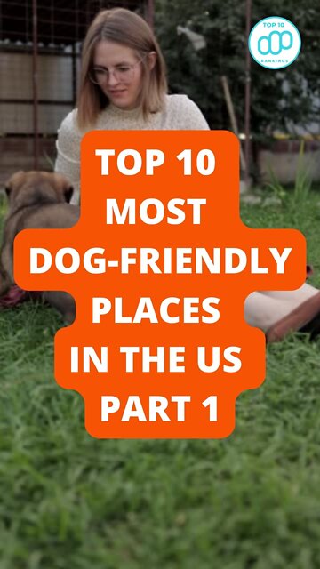 Top 10 Most Dog-Friendly Places in the US Part 1