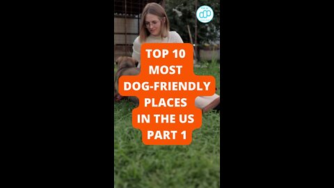 Top 10 Most Dog-Friendly Places in the US Part 1