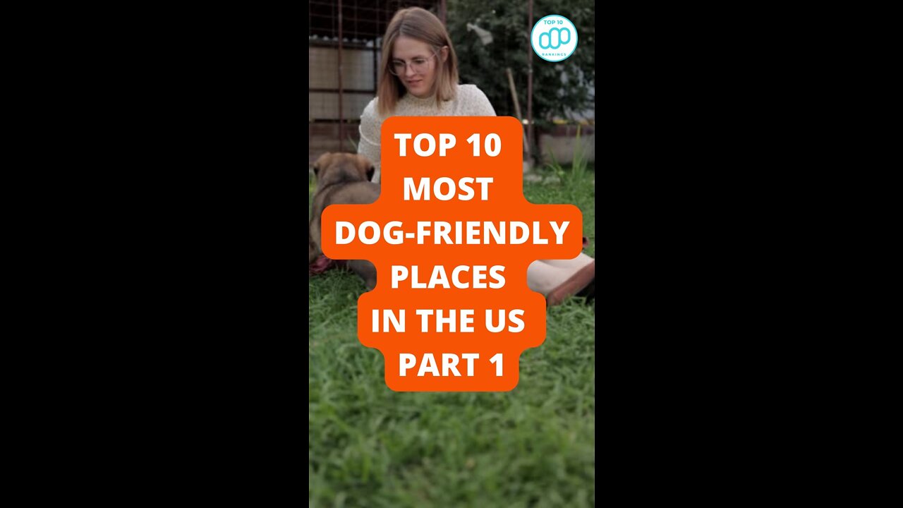 Top 10 Most Dog-Friendly Places in the US Part 1