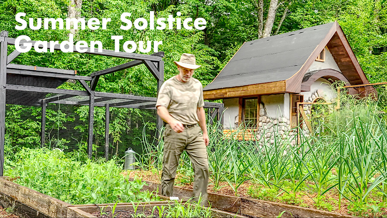 Pruning Fruit Trees in my Organic Orchard on the Summer Solstice | Food Forest Tour