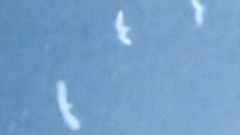 Giant low west coast sphere UFO/birds flying over