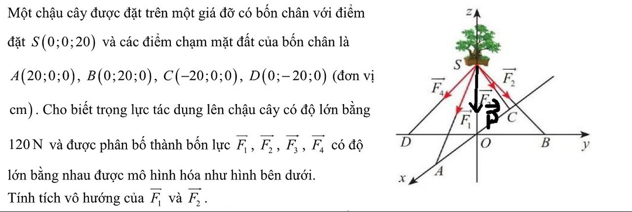 Toán 12: Một chậu cây được đặt trên một giá đỡ có bốn chân với điểm đặt S(0;0;20) và các điểm chạm