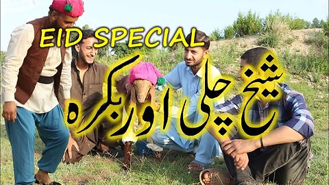 SheikhChilli or Bakra || Eid special comedy drama #sheikhchillicomedy #eidspecial #eidmubarak