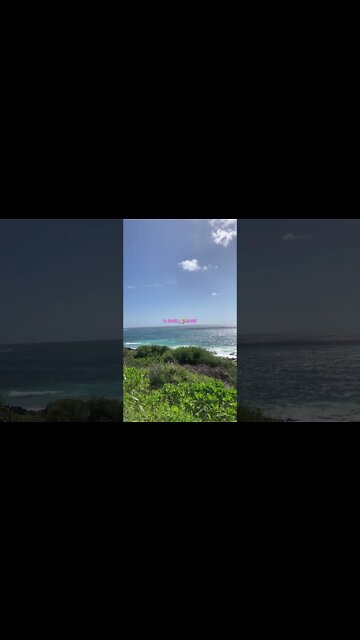 KAUA’I WIKI-VACATION TO THE BEACH