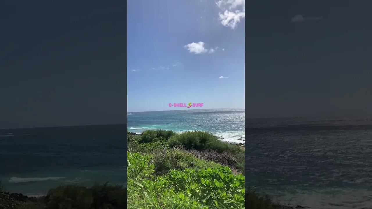 KAUA’I WIKI-VACATION TO THE BEACH