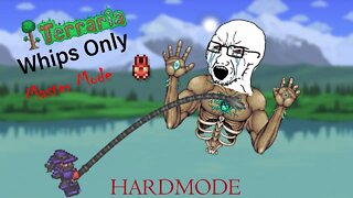 Beating Terraria With Whips Only - Master Mode Challenge
