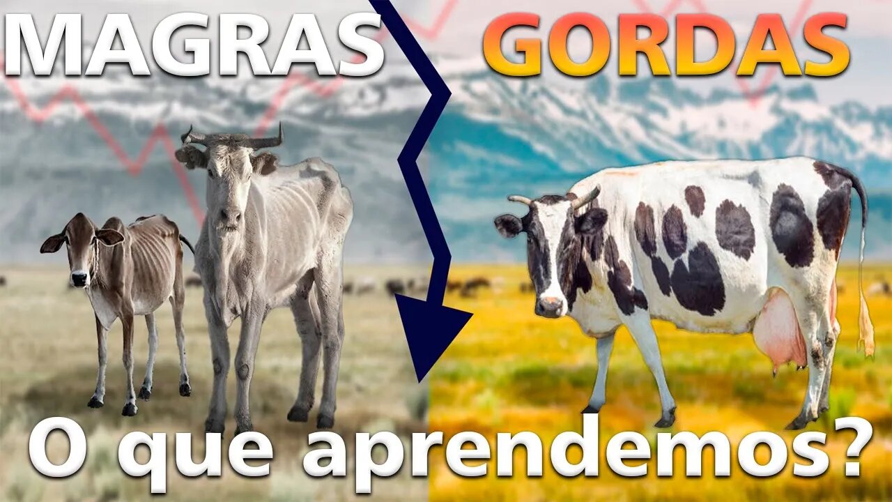 VACAS MAGRAS SE APROXIMAM, O que aprendemos com José do Egito ?