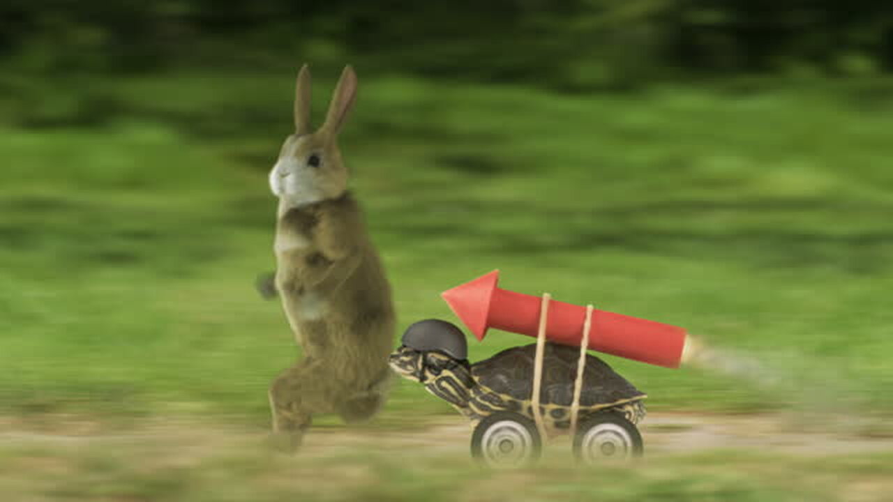 Pet rabbit meets wild rabbit for the first time