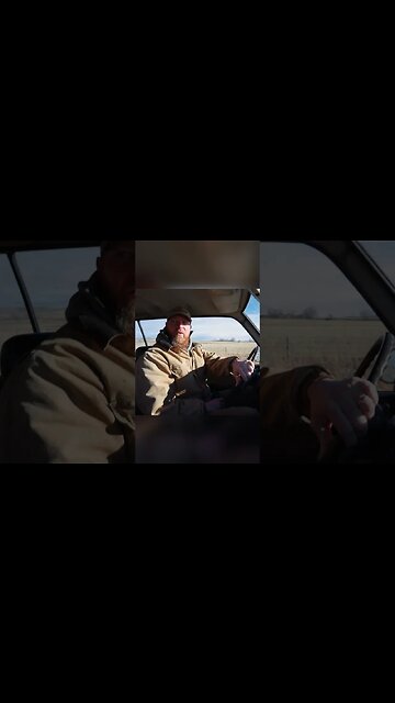 Have You Heard About Beefalo?