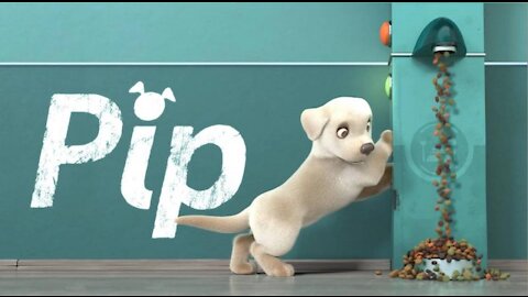 A PiP|A short animation film by southeastern guide dog