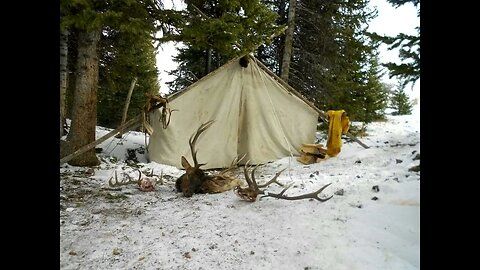 Past memories @broken5792. 3 bulls in 5 minutes! #elk #elkcamp #elkhunting #hunting #bullelk #bull