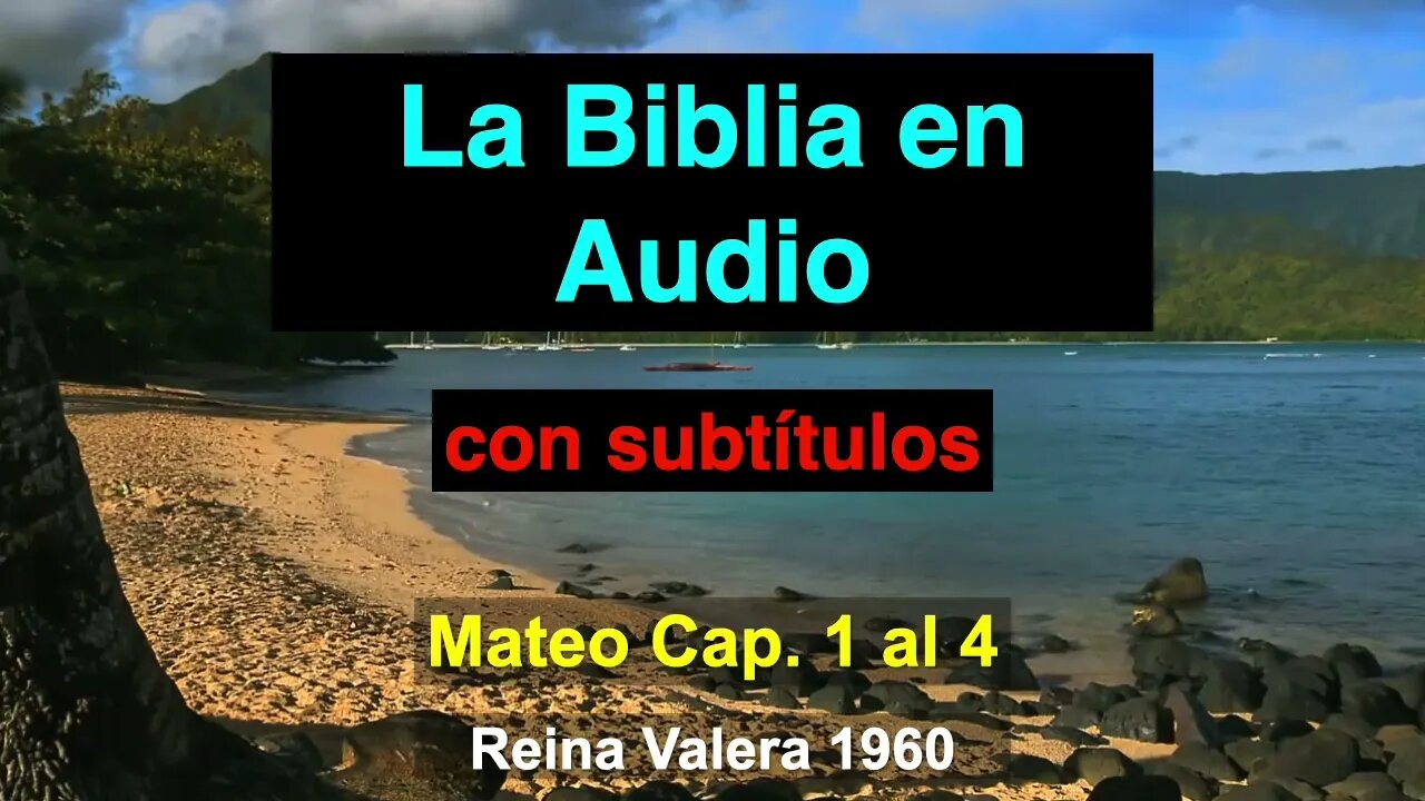 La Biblia en Audio - Mateo Cap. 1 al 4 - Con subtítulos