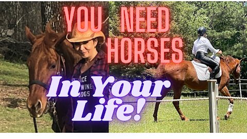 Horses Make Life Better!