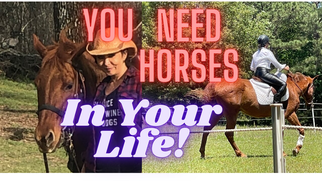 Horses Make Life Better!