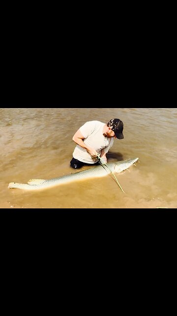 Welcome To My Office Of Dinosaurs 🦖