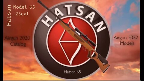 Hatsan Model 65 .25cal