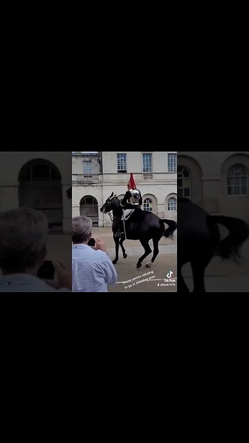 Horse spooked guard stays in control #horseguardsparade
